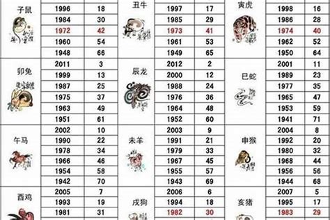 2004五行|04年属什么生肖 2004年出生是什么命